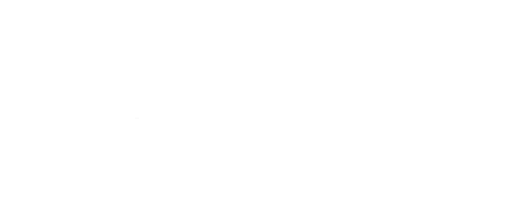 Logo Ośrodka Wczasowego Ostrów Pieckowski